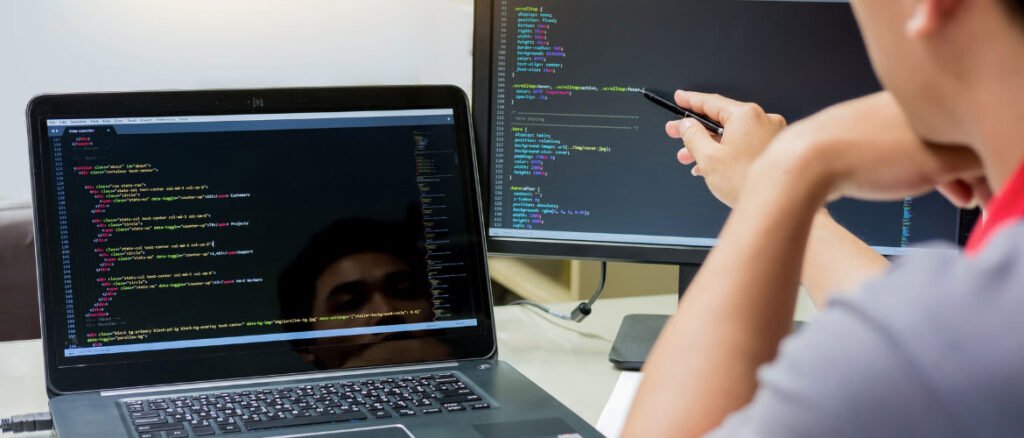 person-with-laptop-web-development